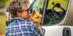 Imagem principal do artigo Viagem de carro com pets: roteiros imperdíveis e dicas para uma jornada tranquila